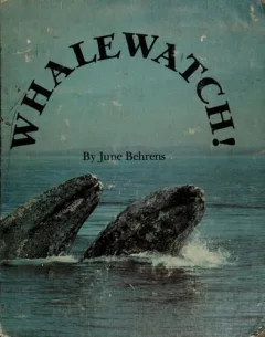 Whalewatch!