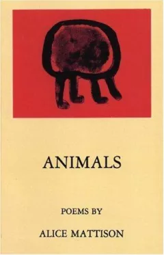Animals