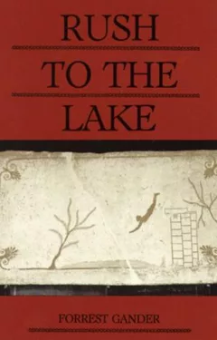 Rush to the Lake