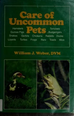 Care of uncommon pets