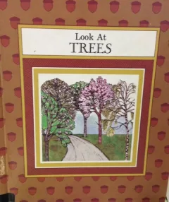 Look at trees