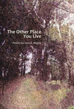 The Other Place You Live Poems