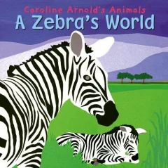 A zebra's world