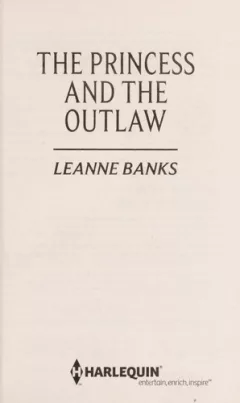 The princess and the outlaw