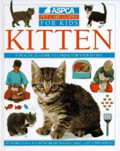 Kitten