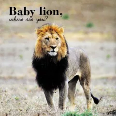 Baby, where are you?