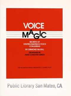 Voice magic