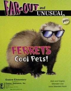 Ferrets