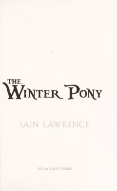The winter pony