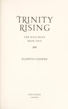 Trinity rising
