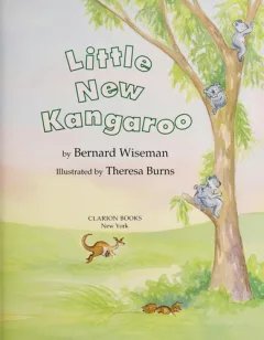 Little new kangaroo