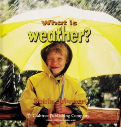 What is weather?