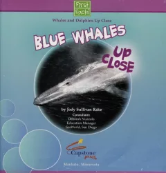 Blue whales up close