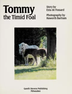 Tommy, the timid foal