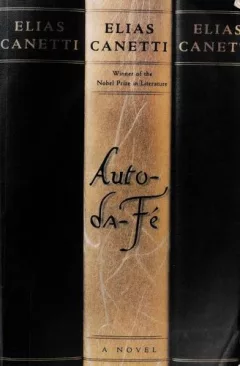 Auto da fé