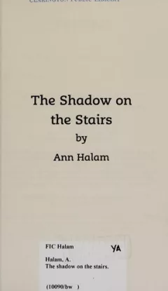 The shadow on the stairs