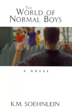 The World Of Normal Boys