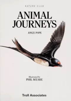 Animal journeys