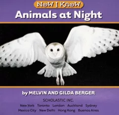 Animals at night