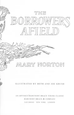 The Borrowers afield