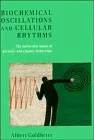 Biochemical oscillations and cellular rhythms
