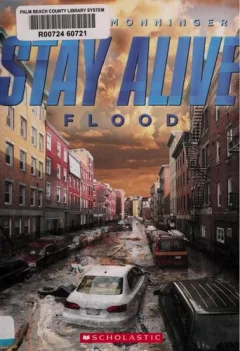 Flood