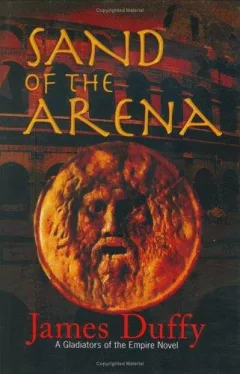 Sand of the arena