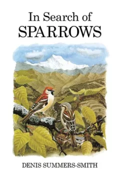 In search of sparrows