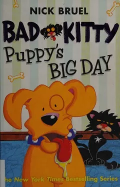 Bad Kitty