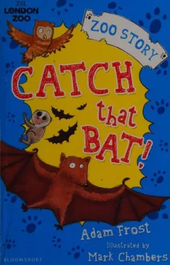 Catch that bat!