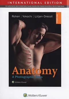 Anatomy