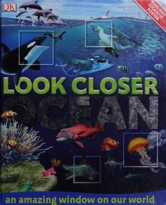 Look closer ocean