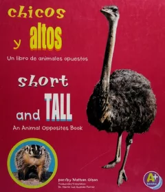 Chicos y altos