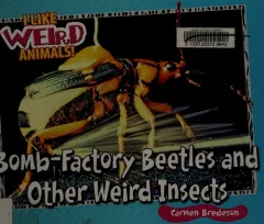 Bomb-factory beetles and other weird insects