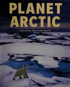 Planet Arctic
