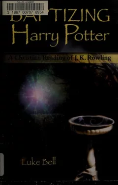 Baptizing Harry Potter