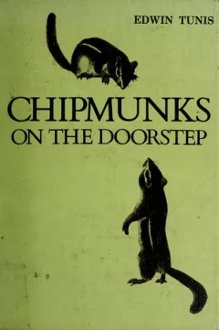 Chipmunks on the doorstep.