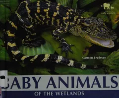 Baby animals of the wetlands