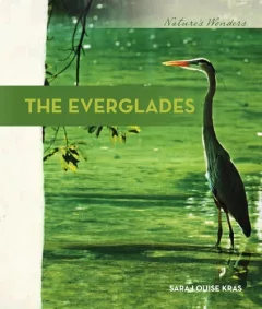 The Everglades