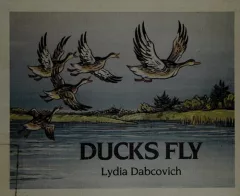 Ducks fly