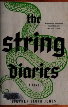 The string diaries