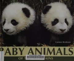 Baby animals of the mountains