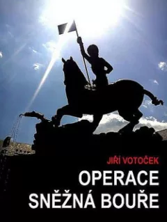 Operace Sněžná bouře