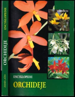 Orchideje