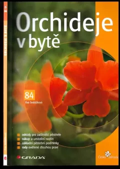 Orchideje v bytě