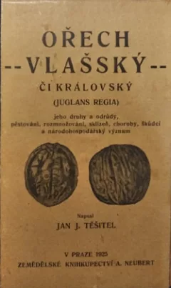 Ořech vlašský či královský