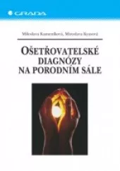 Ošetřovatelské diagnózy na porodním sále