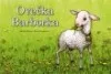 Ovečka Barborka