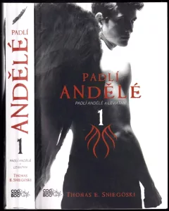 Padlí andělé