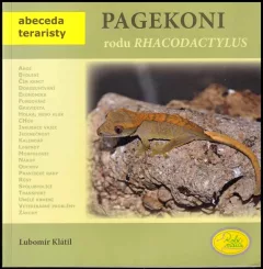 Pagekoni rodu Rhacodactylus